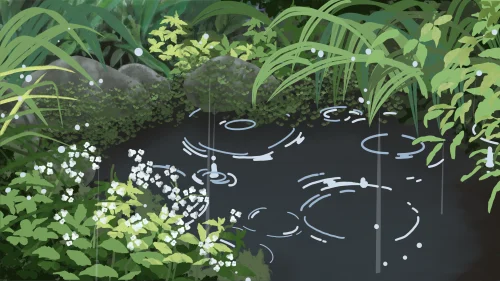 When its Rain