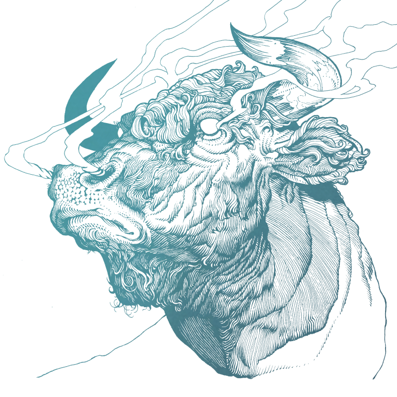 Bull: Regular #2/25