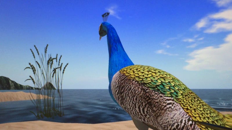 Fire Beach, 2014 (Sara Ludy)