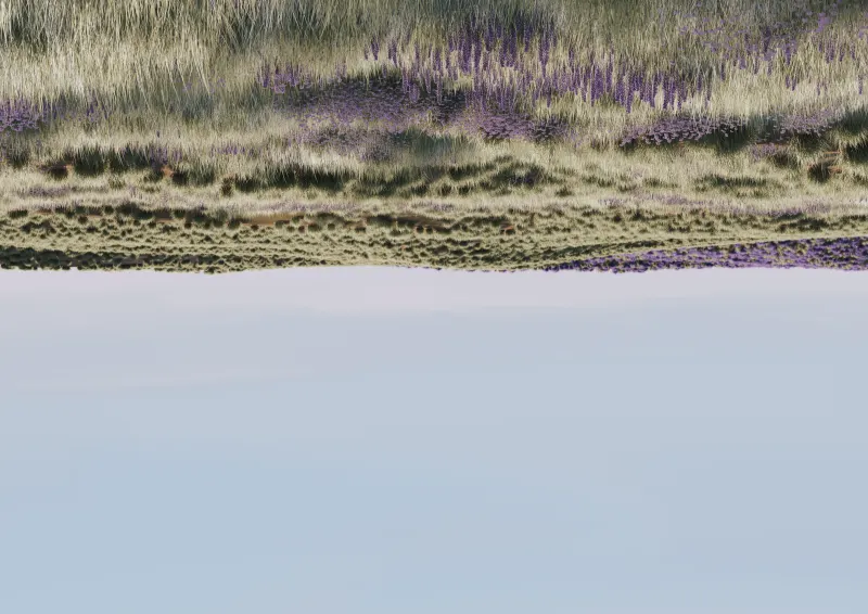 Bury (Reisinger Andrés)