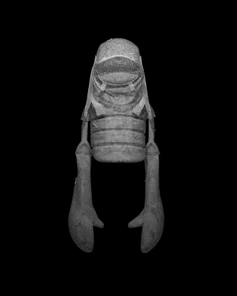 Lil Yang Light Edition