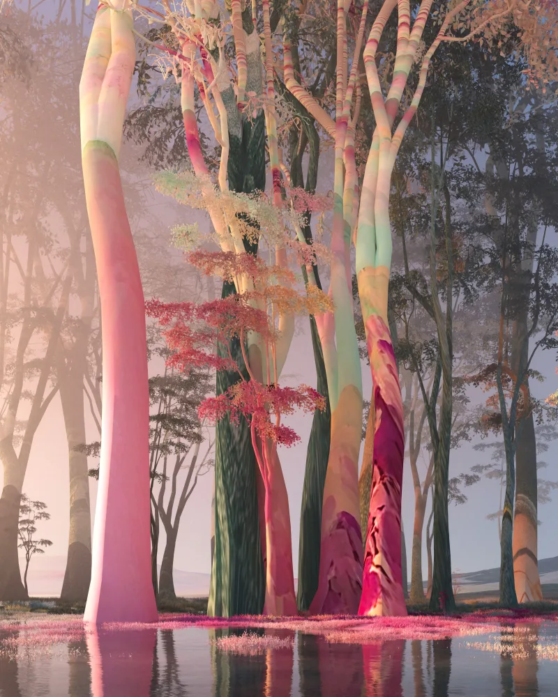 Forgive yourself first