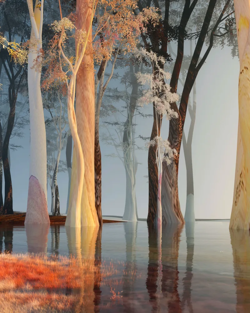 Don't take it for granted