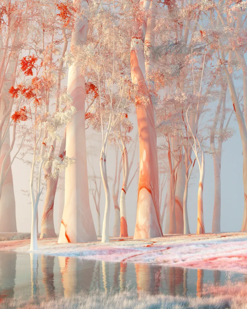 Strawberries and dream