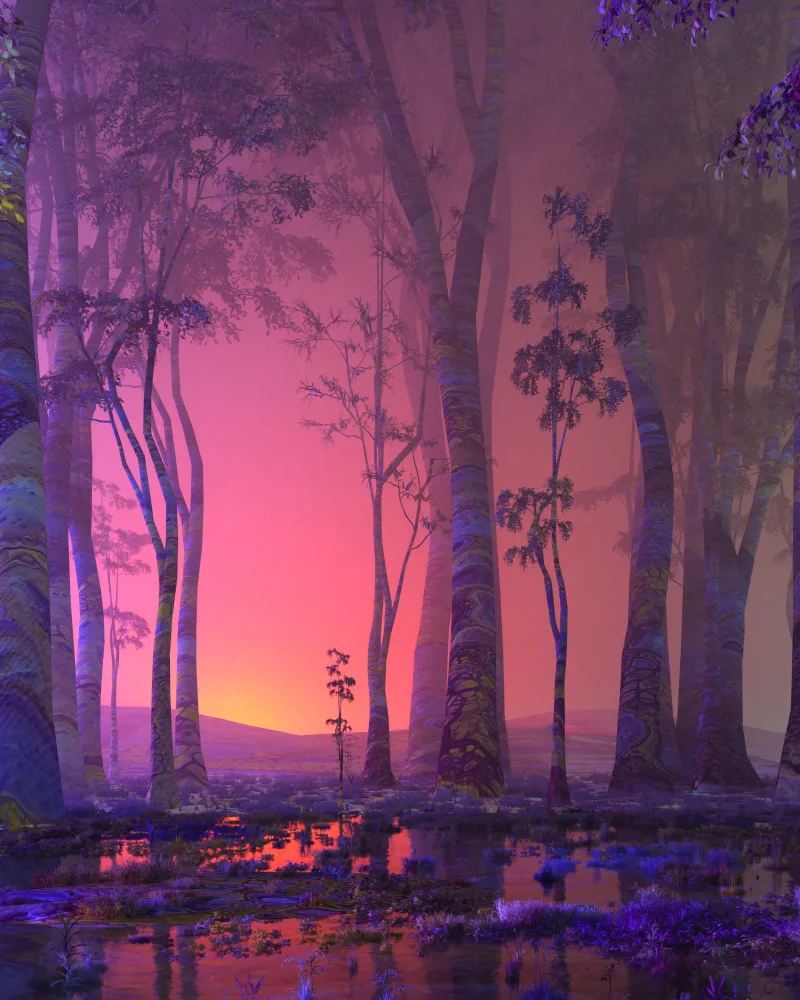 Reflections of the day