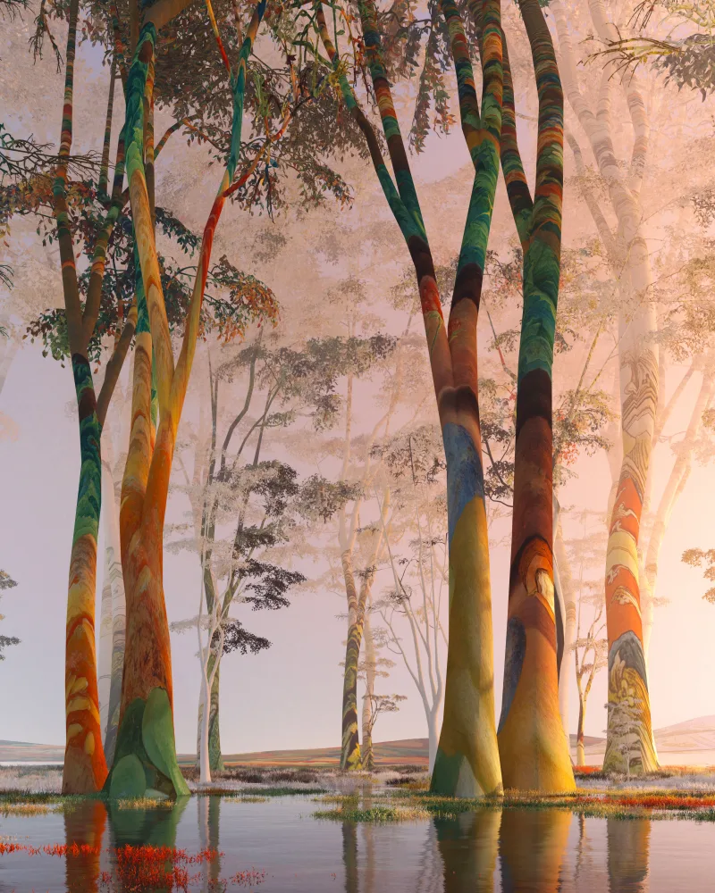 We can come here anytime