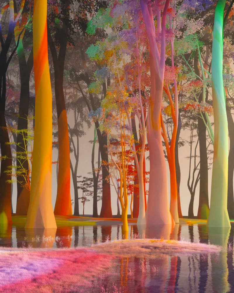 Looking back to look forward