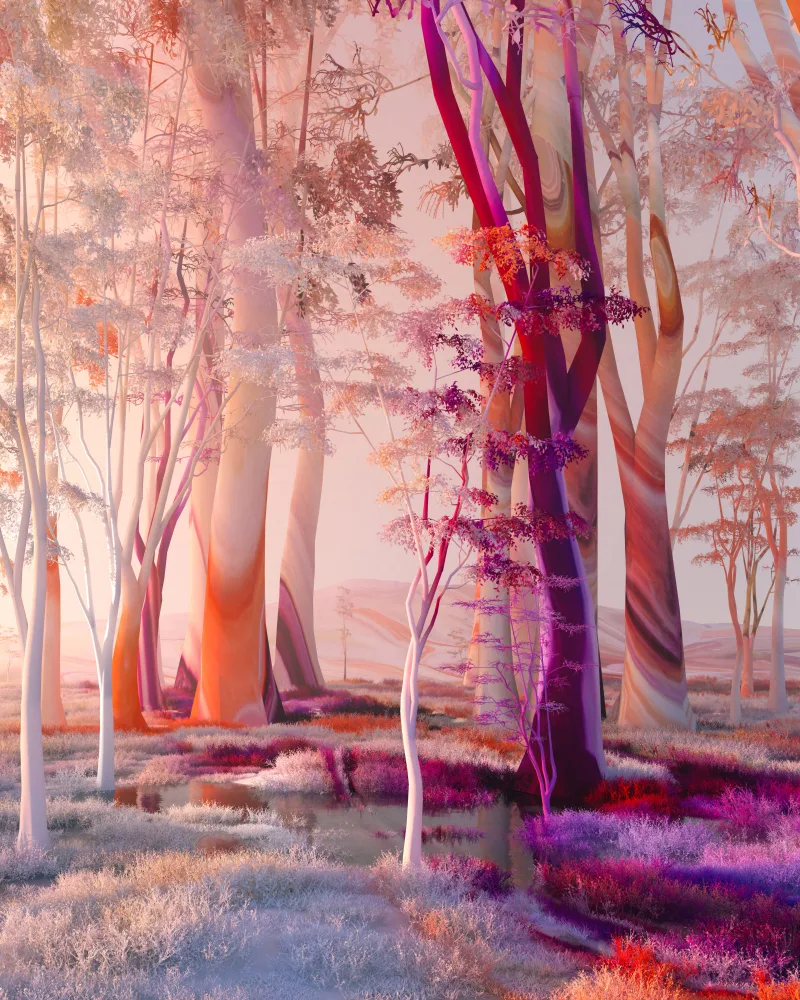 Your dreams are pending