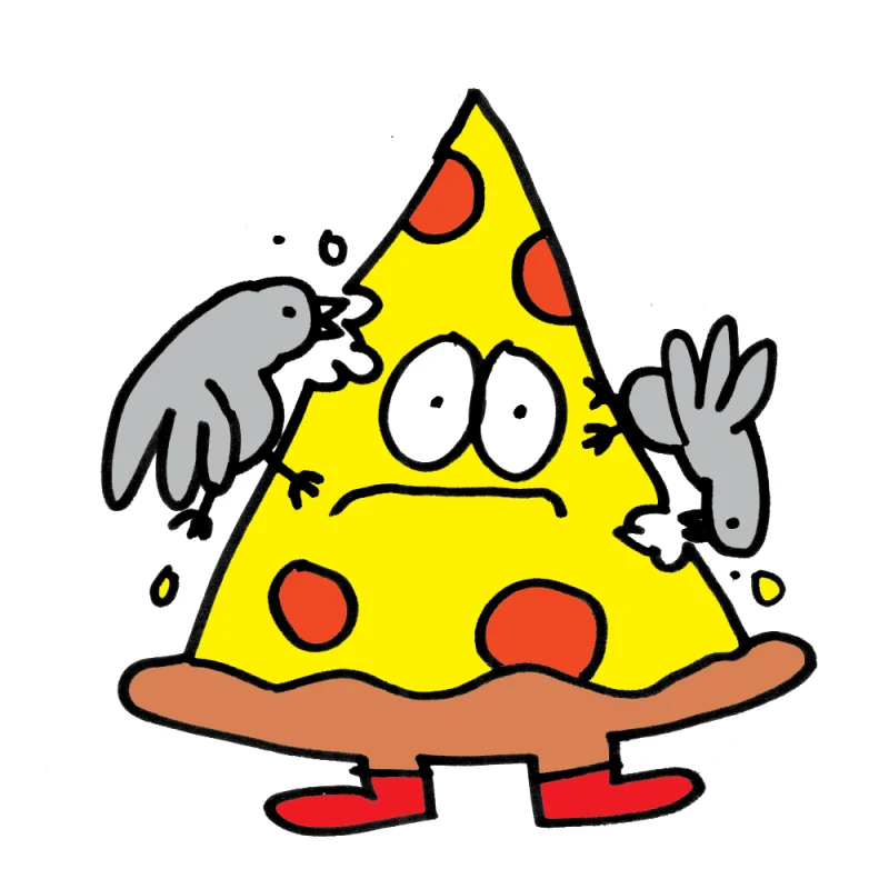 Asset Image