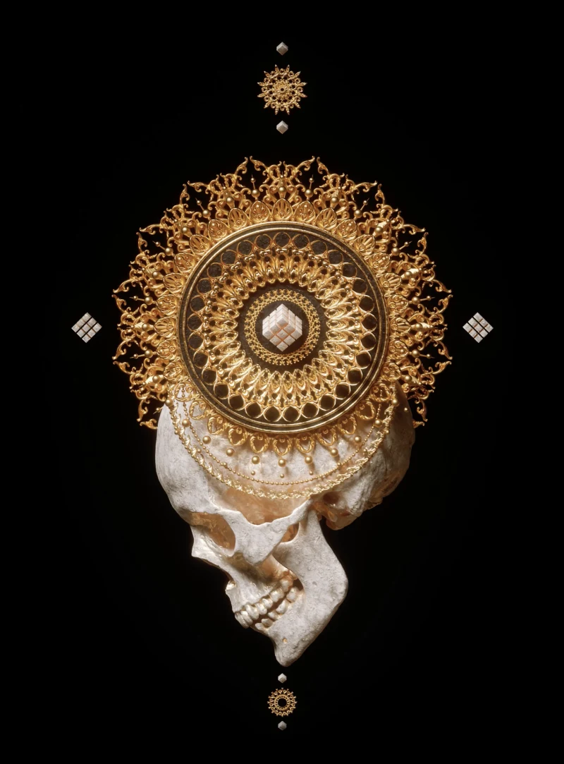 Asset Image