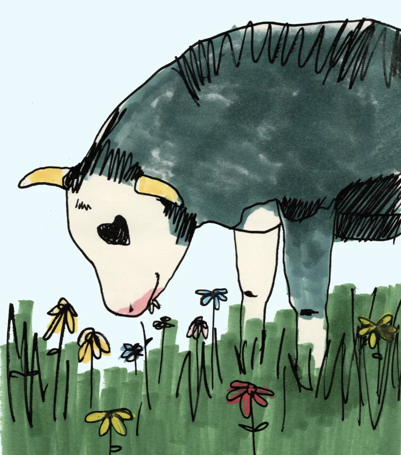 Lover Cow #3/10