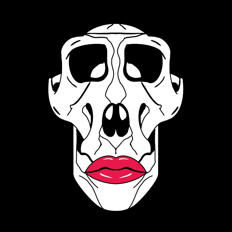 Asset Image