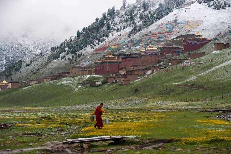 Tibet #65