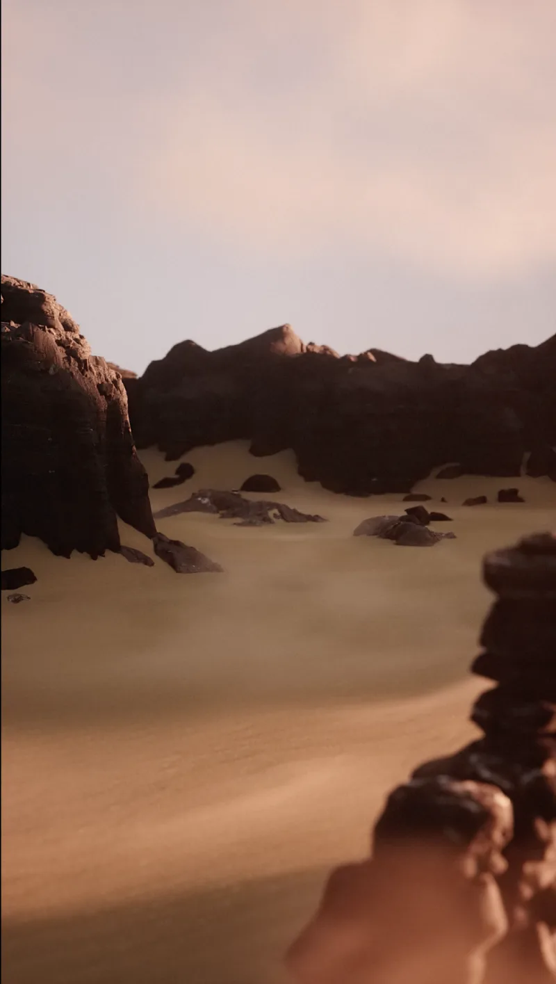 THE DESERT (Vhils x Six N. Five) #12/33