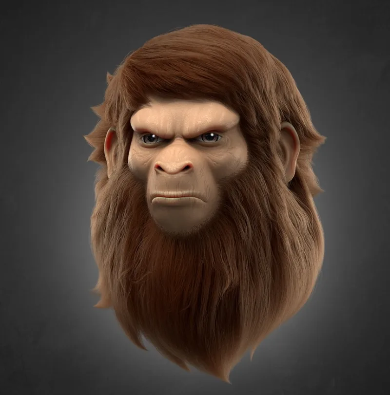 Asset Image
