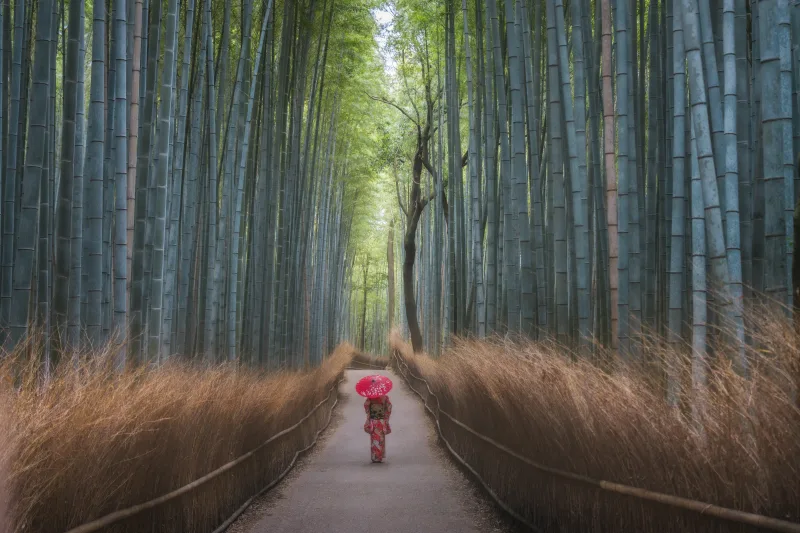 MEMORIES OF GEISHA (Iurie Belegurschi)