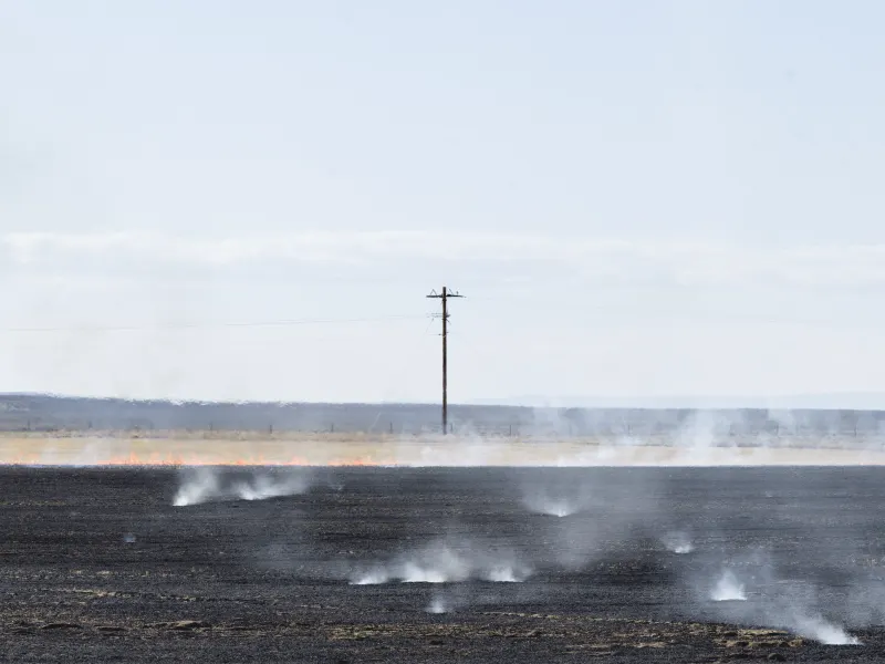 Controlled Burn #6/61