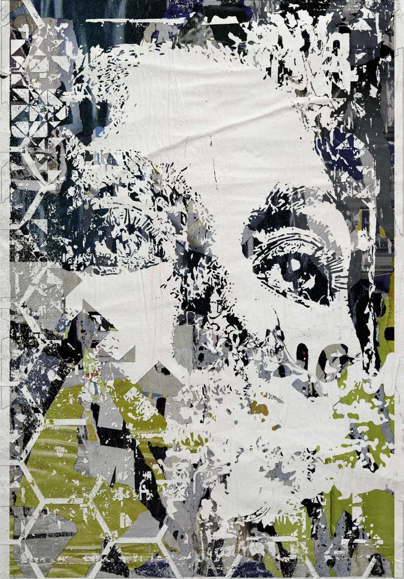 Layers by Vhils