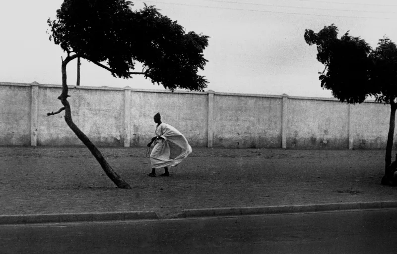 Dakar Roadside