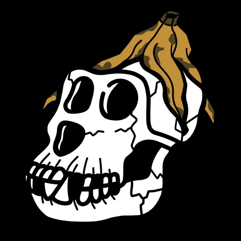 Asset Image