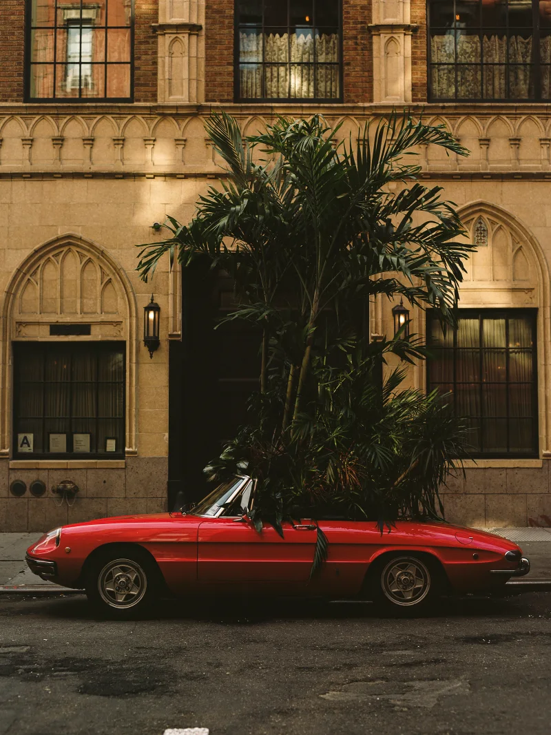 Saturday Somewhere by Plant Passenger