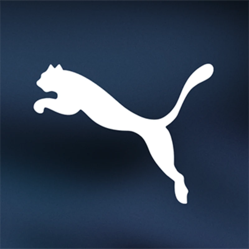 Asset Image