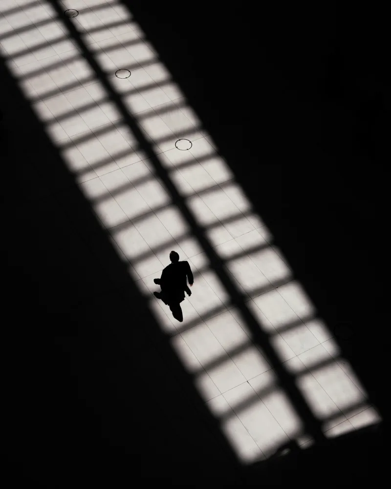 In Sunlight and Shadow #13/15