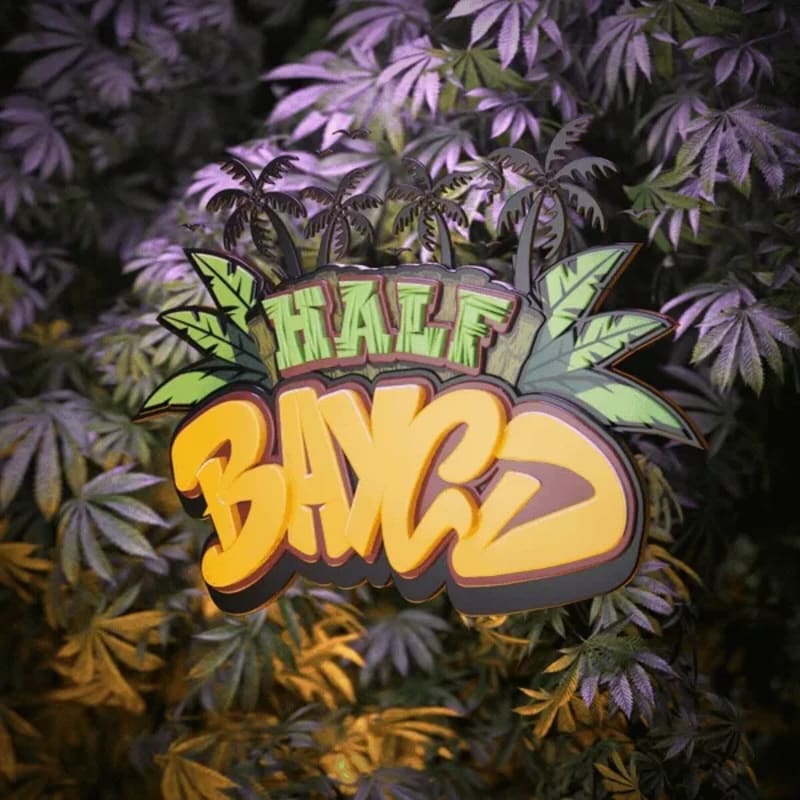 Asset Image