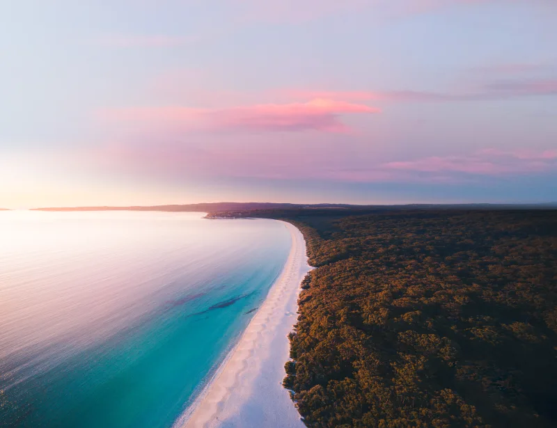 The Bay of Plenty