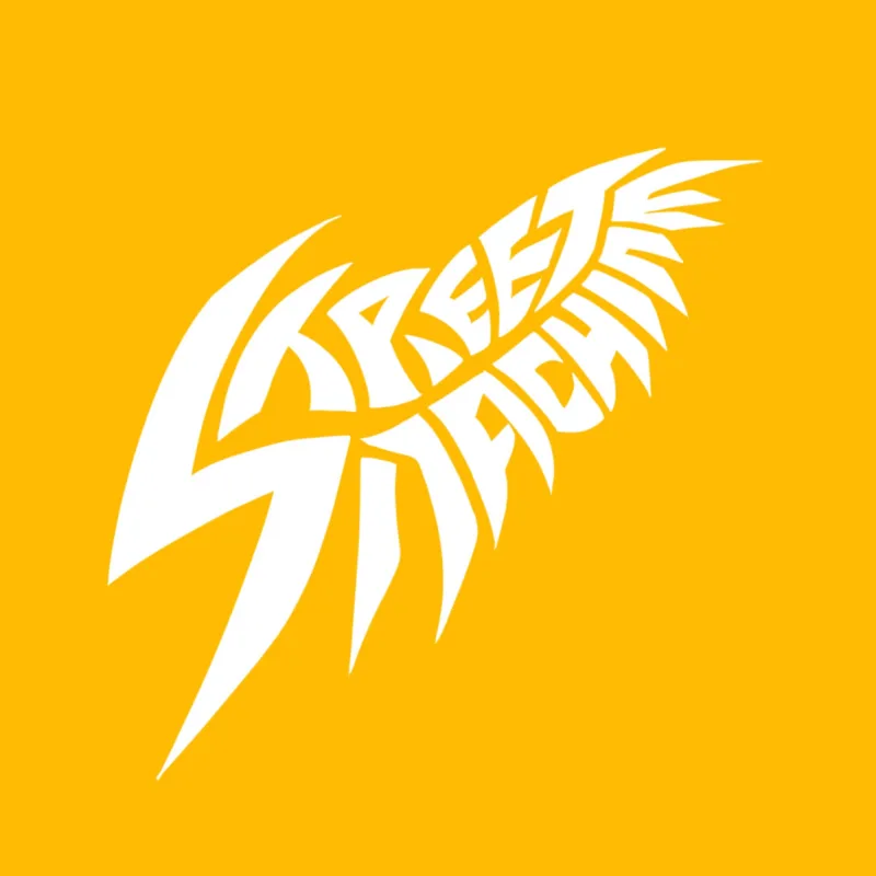 Asset Image
