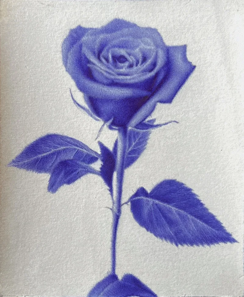 Roses Are ?