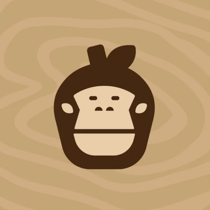 Asset Image