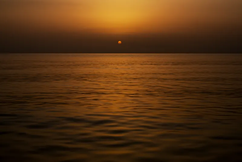 First Blush