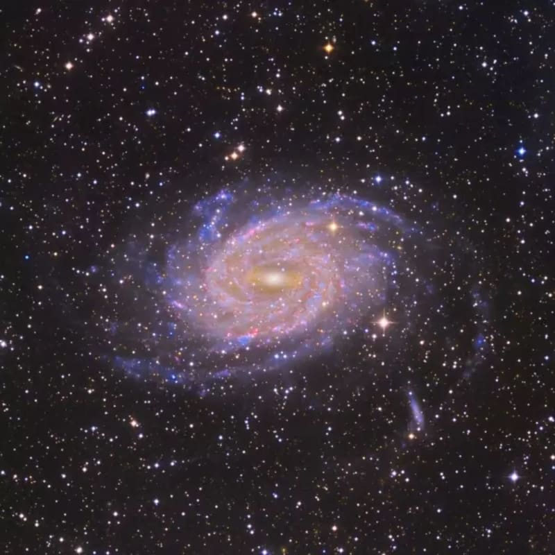 Caldwell 101 Spiral Galaxy