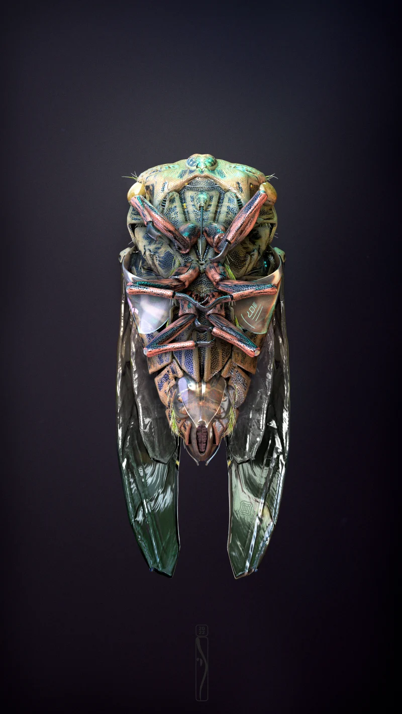 Cicada H7 #15/15