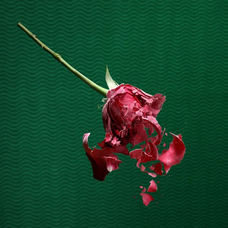 Broken Heart / Shattered by Paloma Rincón