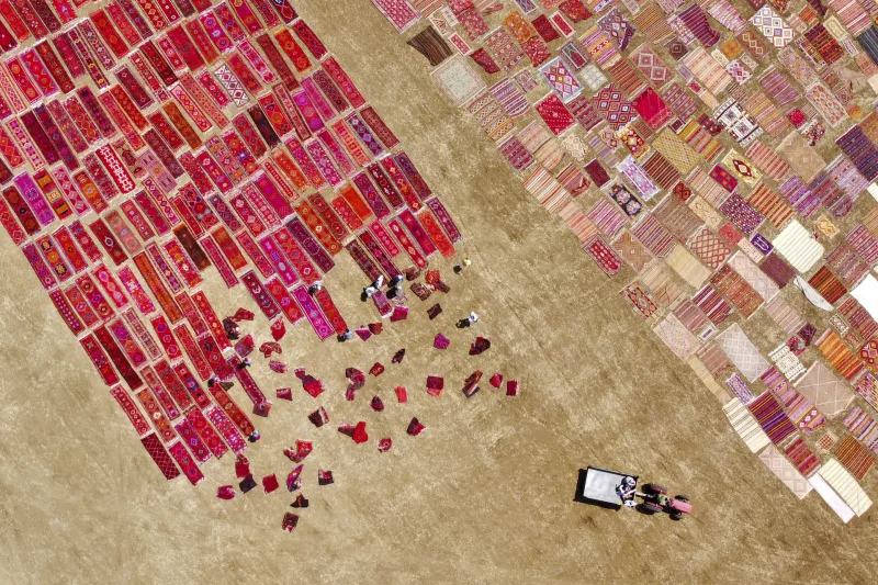 Carpet Field #2/14