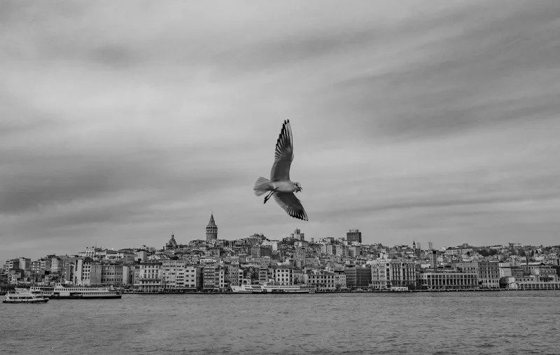 Istanbul Under My Wings