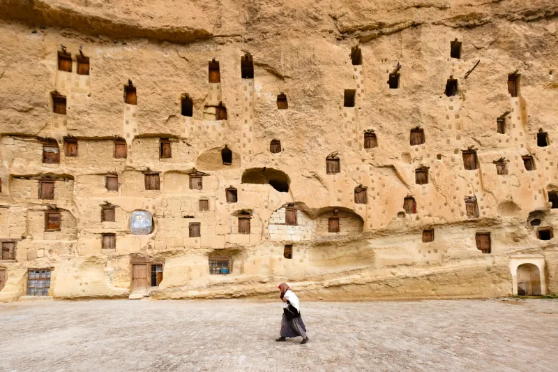 The Ancient Protector