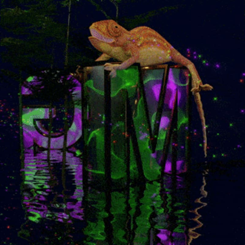 GM Kisses Chameleon