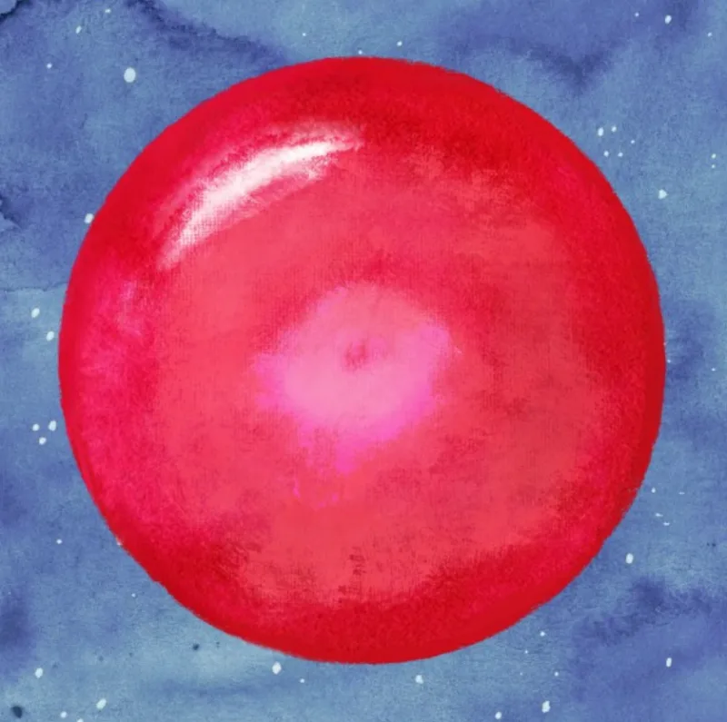 Asset Image