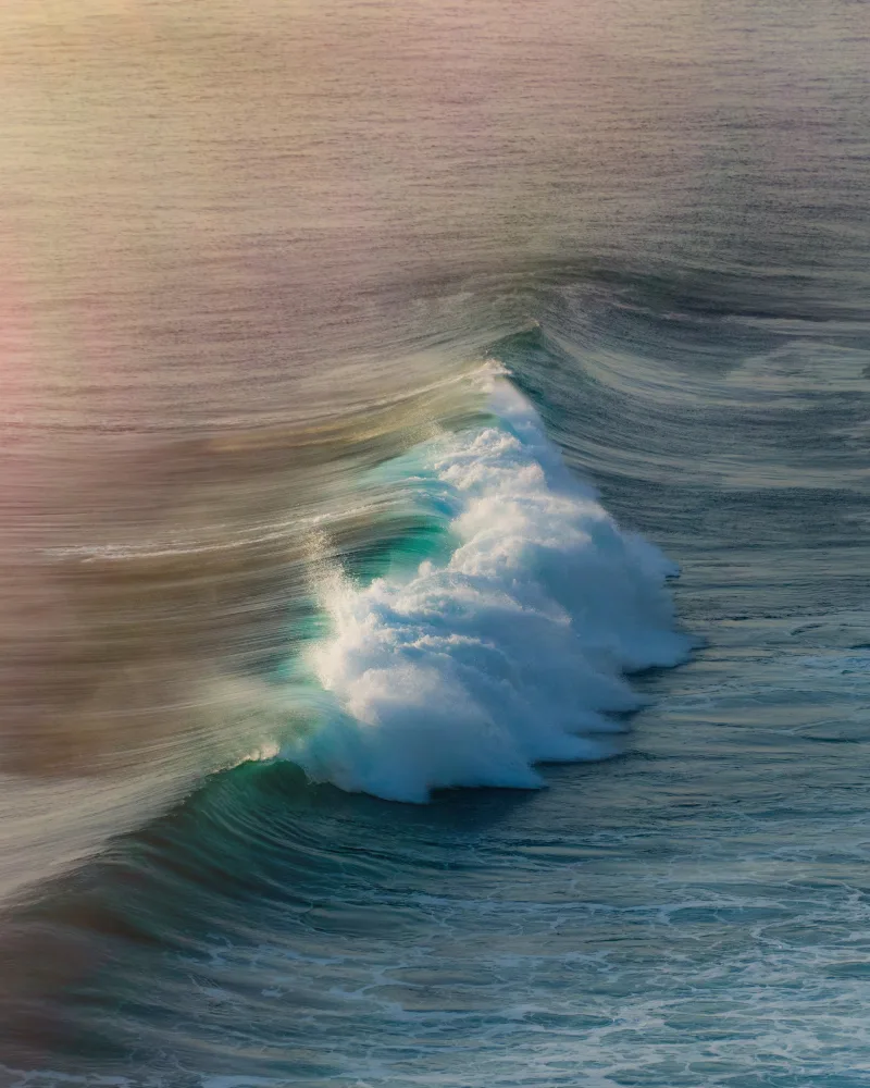 The Wave