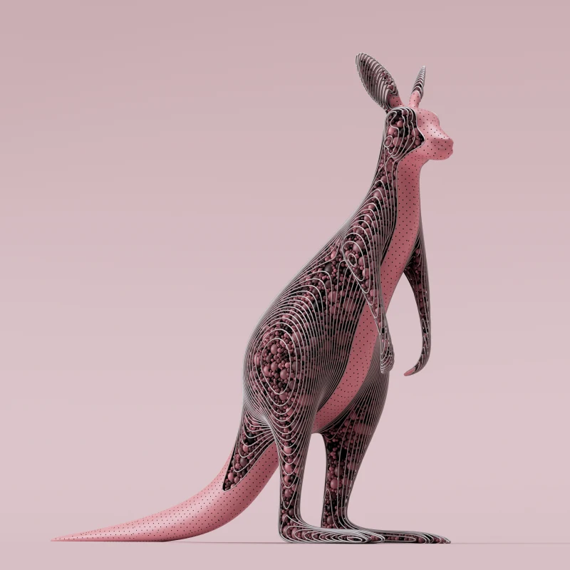 Kangaroo