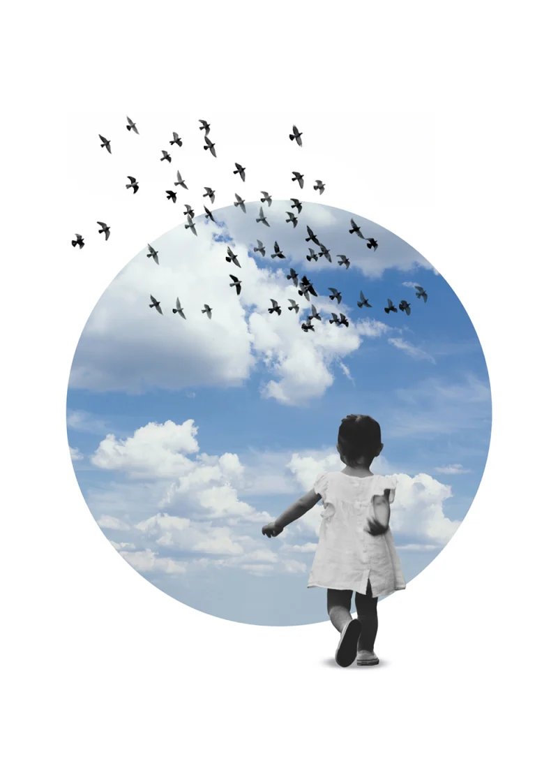 Dream 1: The Chase is better than the catch