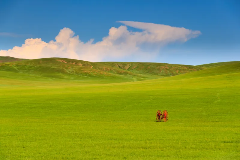 Mongolian Steppe