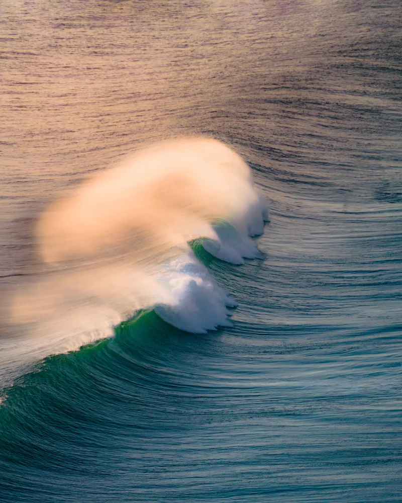 The Jaws #38/201