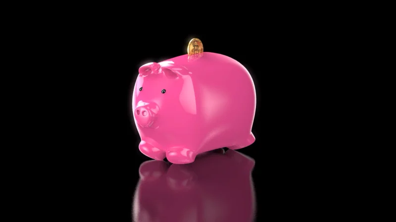 Pink Piggy #378/379