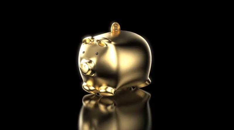 Gold Piggy