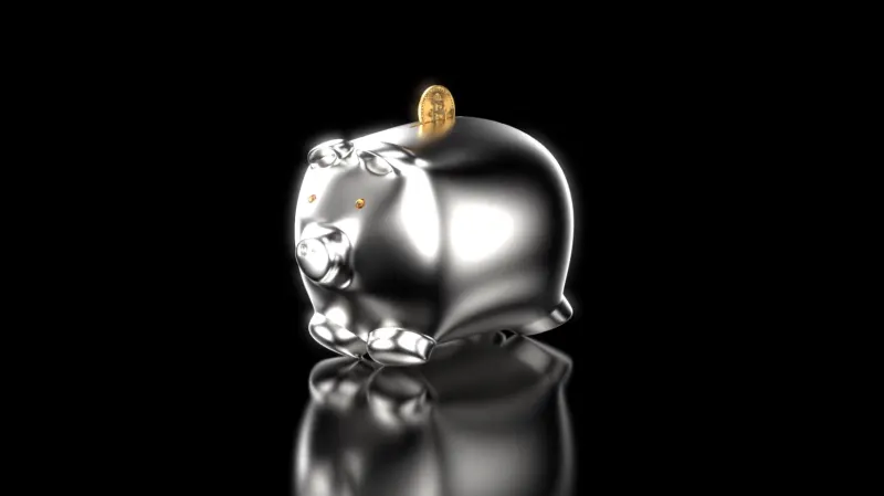 Silver Piggy