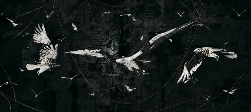 Colony